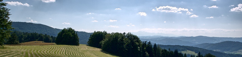 Tutela dell'ambiente