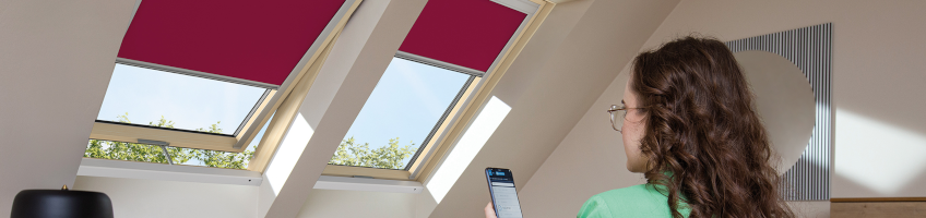 Remotely controlled pivot windows