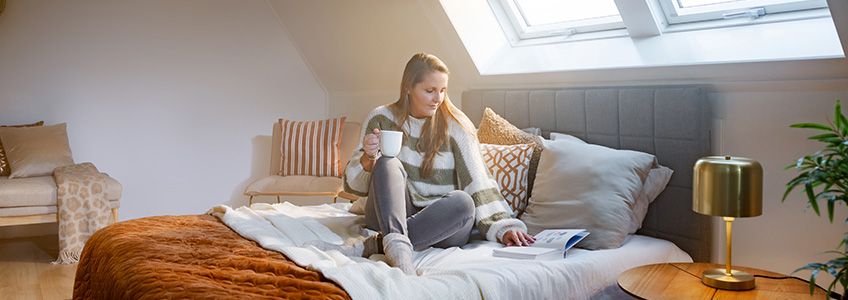 Finestre da tetto FAKRO GREENVIEW